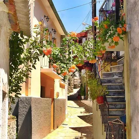 Conelli Haus 아파트